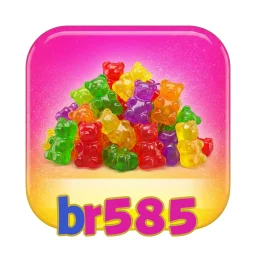 br585