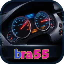 bra55